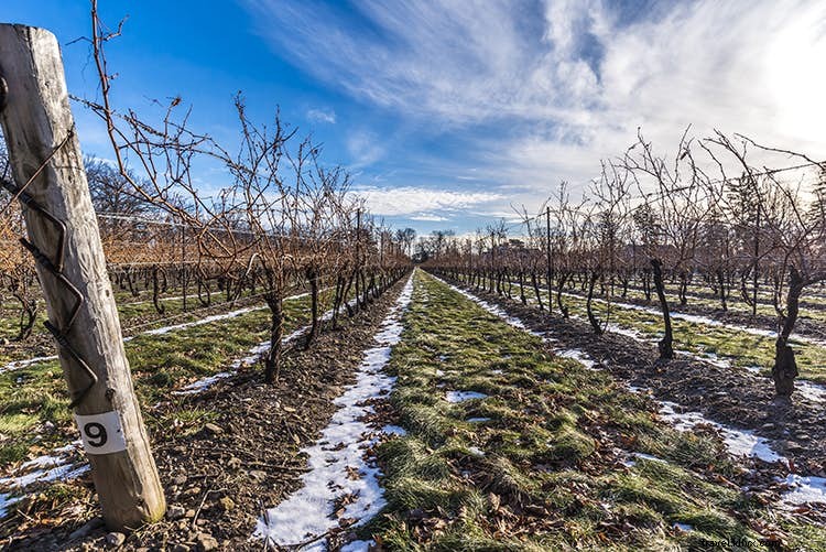 Discover 10 of the World s Most Captivating Wine Regions