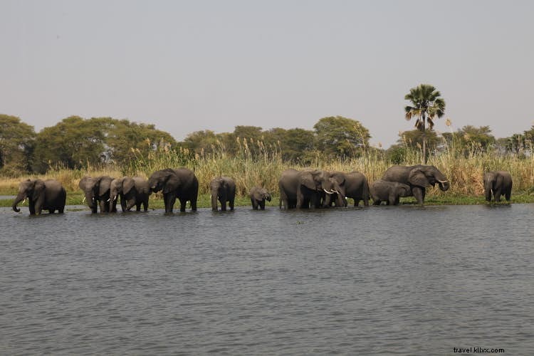 Lake of Stars Festival: Immersive Lakeside Music Magic in Malawi
