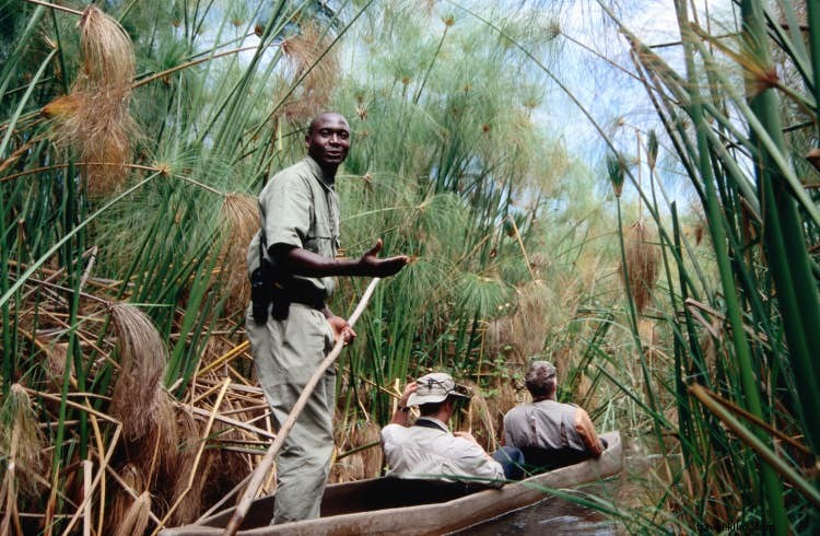 Why the Okavango Delta is Botswana s Premier Safari Destination
