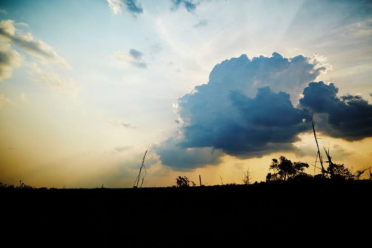 Gorilla Trekking in Congo: Encountering the Spirits of Odzala s Rainforest