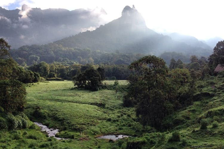 Beyond the Big Five: Discover Ethiopia s Rare Wildlife in Bale Mountains and Beyond