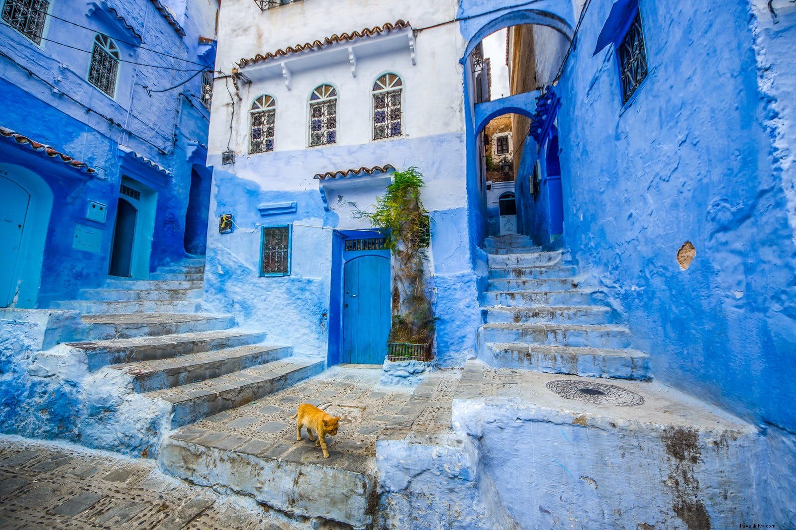 Discover Chefchaouen: 4 Essential Ways to Explore Morocco s Iconic Blue City