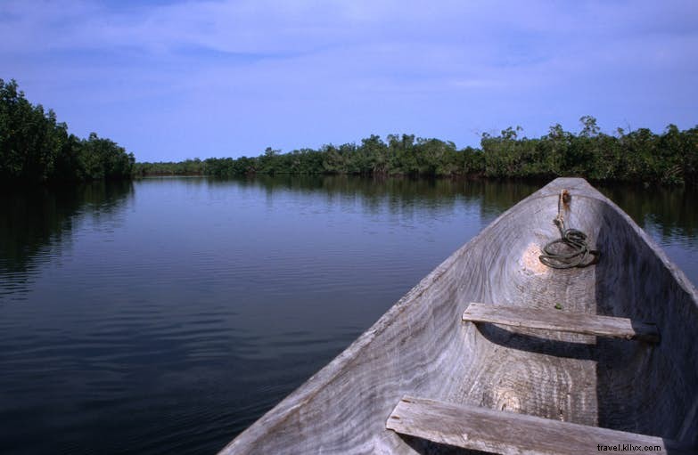 Discover West Africa s Top Wildlife Parks: Uncrowded Safaris and Diverse Wildlife