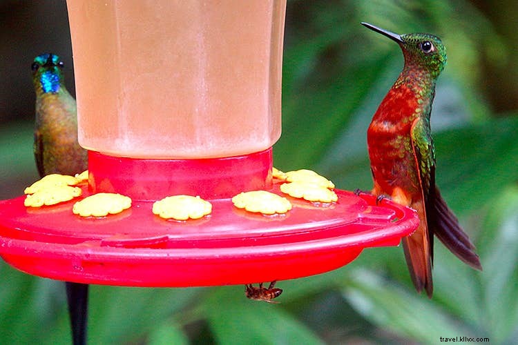 2013 Travel Highlights: Unforgettable Moments from Lonely Planet Experts