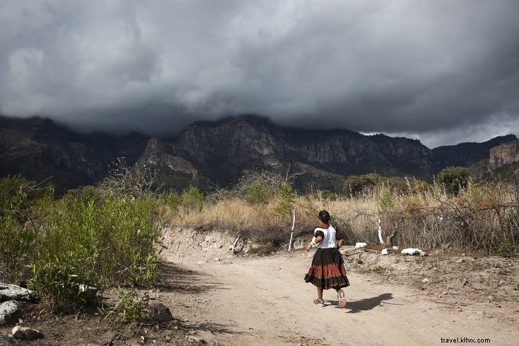 Global Secrets to Serenity: Mastering Calm During the Holiday Rush