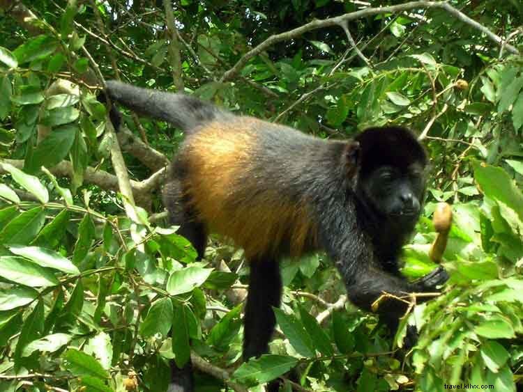 Lonely Planet s Top 10 Best Value Travel Destinations for 2014