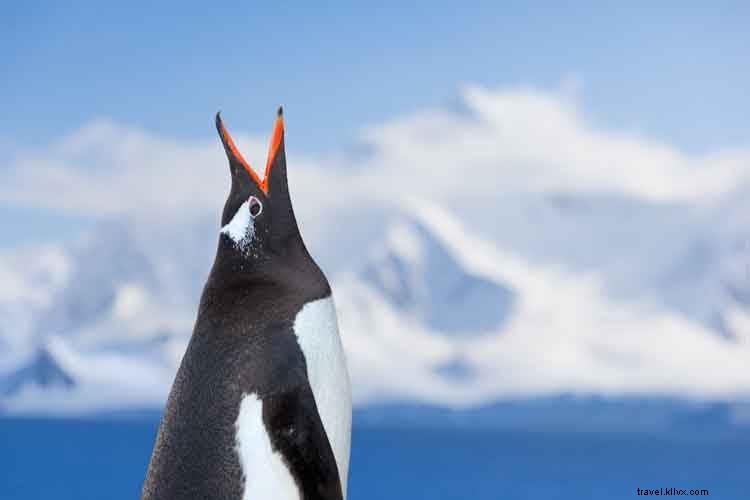 Lonely Planet s Best in Travel 2014: Top 10 Must-Visit Countries