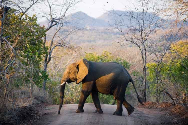 Lonely Planet s Best in Travel 2014: Top 10 Must-Visit Countries