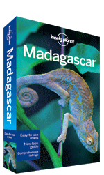 Madagascar s Extraordinary Wildlife: 10 Must-See Species and Prime Viewing Spots