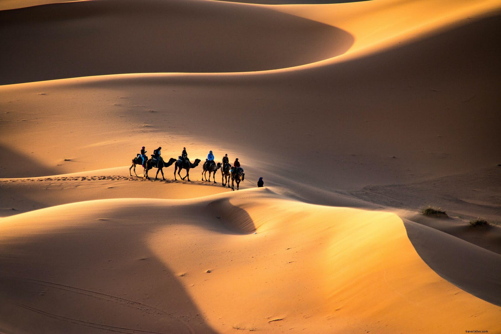 Sahara Desert Guide: Best Ways to Experience Morocco, Tunisia, and Egypt