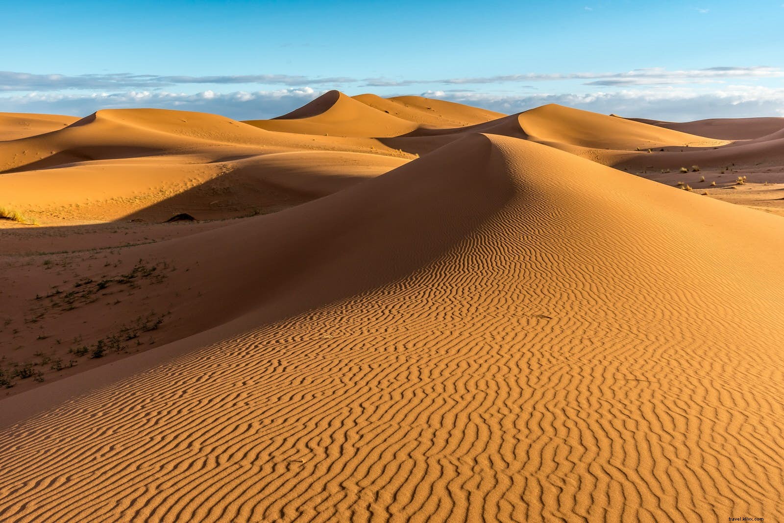 Sahara Desert Guide: Best Ways to Experience Morocco, Tunisia, and Egypt