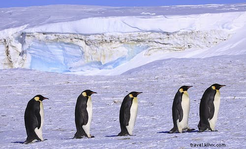 Top 10 Premier Birdwatching Destinations for Avid Twitchers