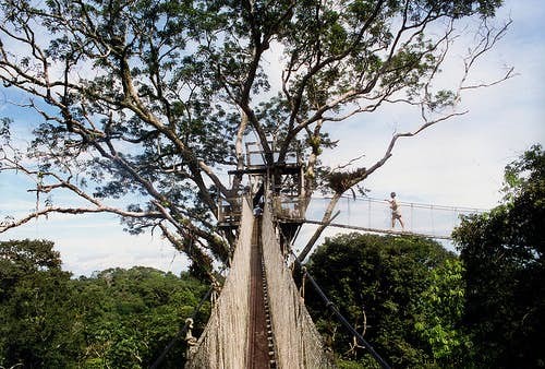 Top 10 Epic Climbs Worldwide: From Ancient Temples to Towering Peaks