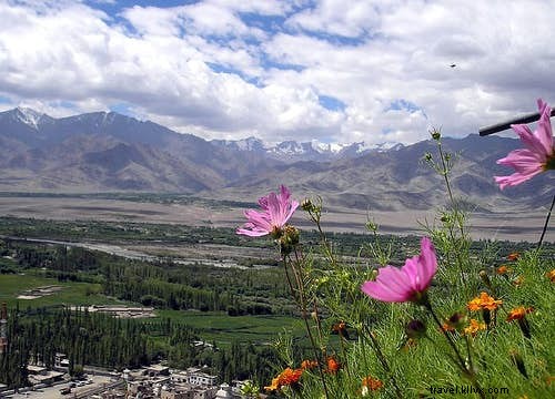 Top 10 Epic Climbs Worldwide: From Ancient Temples to Towering Peaks