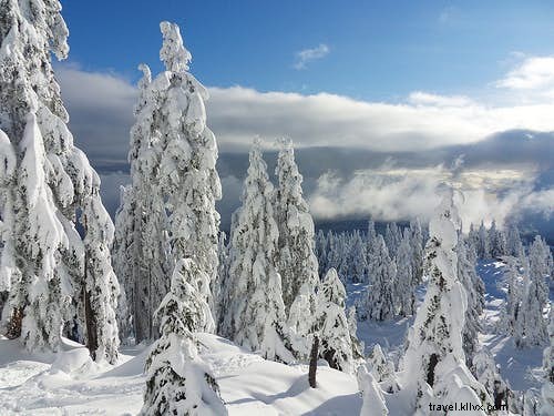 9 Best Slow Travel Experiences Worldwide from Lonely Planet s Best in Travel