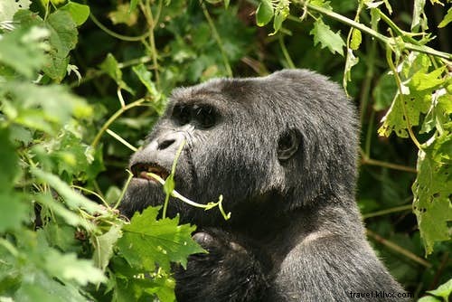 10 Spellbinding Global Sights Where Time Stands Still