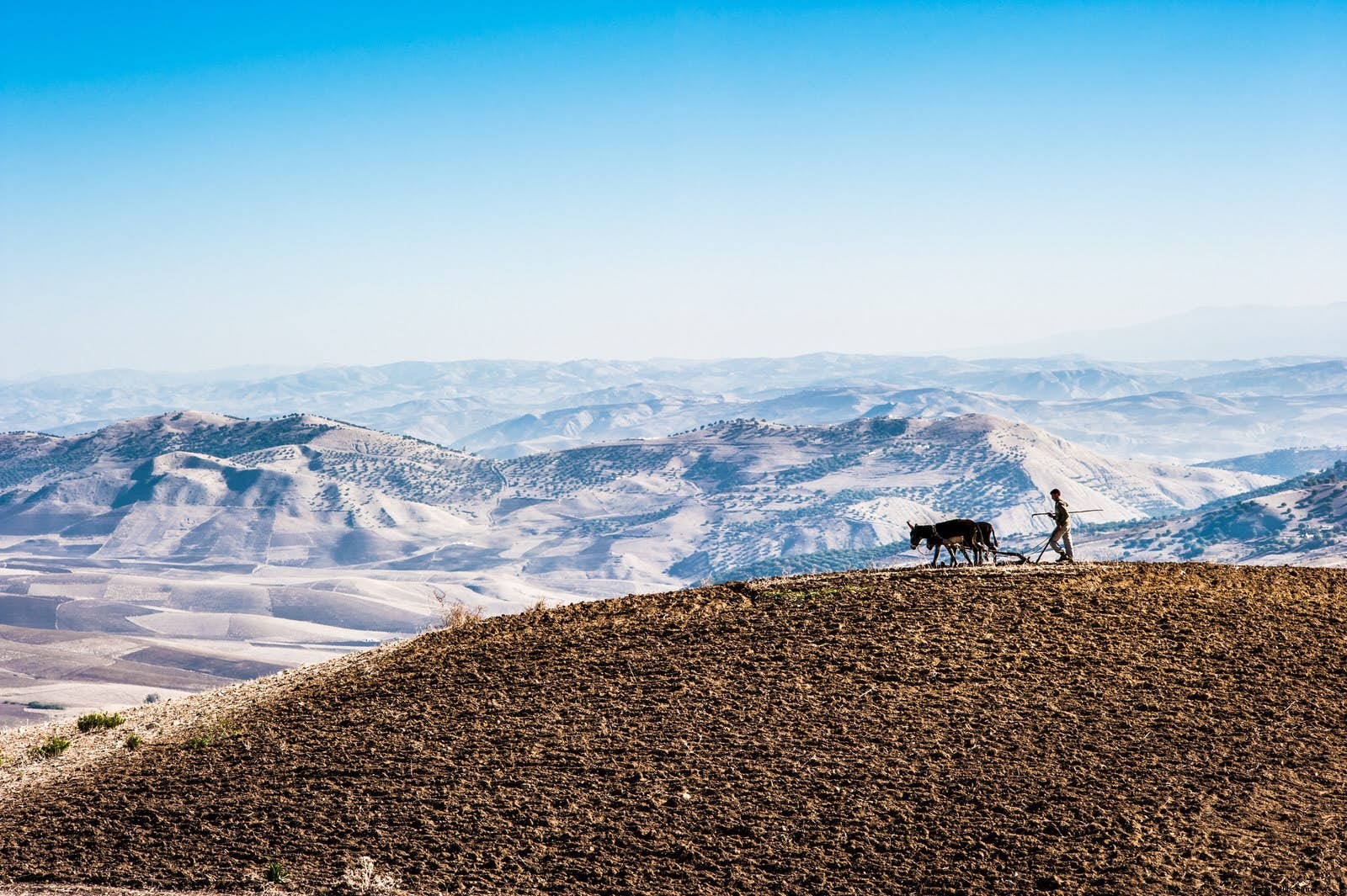 Explore Morocco s Untamed Mountains: Premier Trekking Guide to High Atlas, Rif, and More