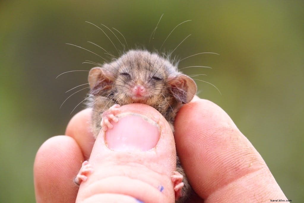 10 Heartwarming Stories from 2020 That Restored Hope and Inspiration