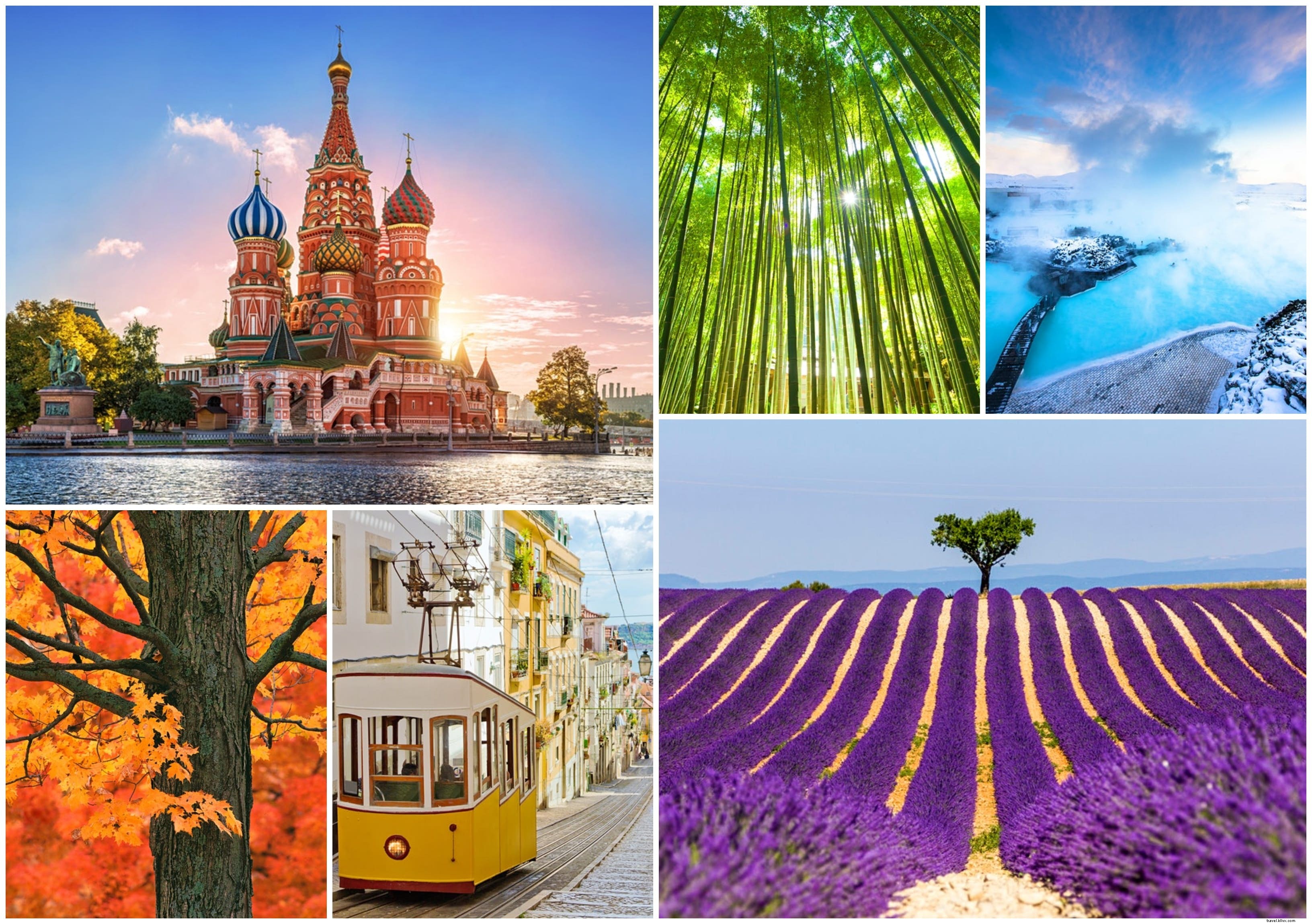 Vibrant Rainbow Destinations: Explore Every Color from Red Square to Lavender Fields