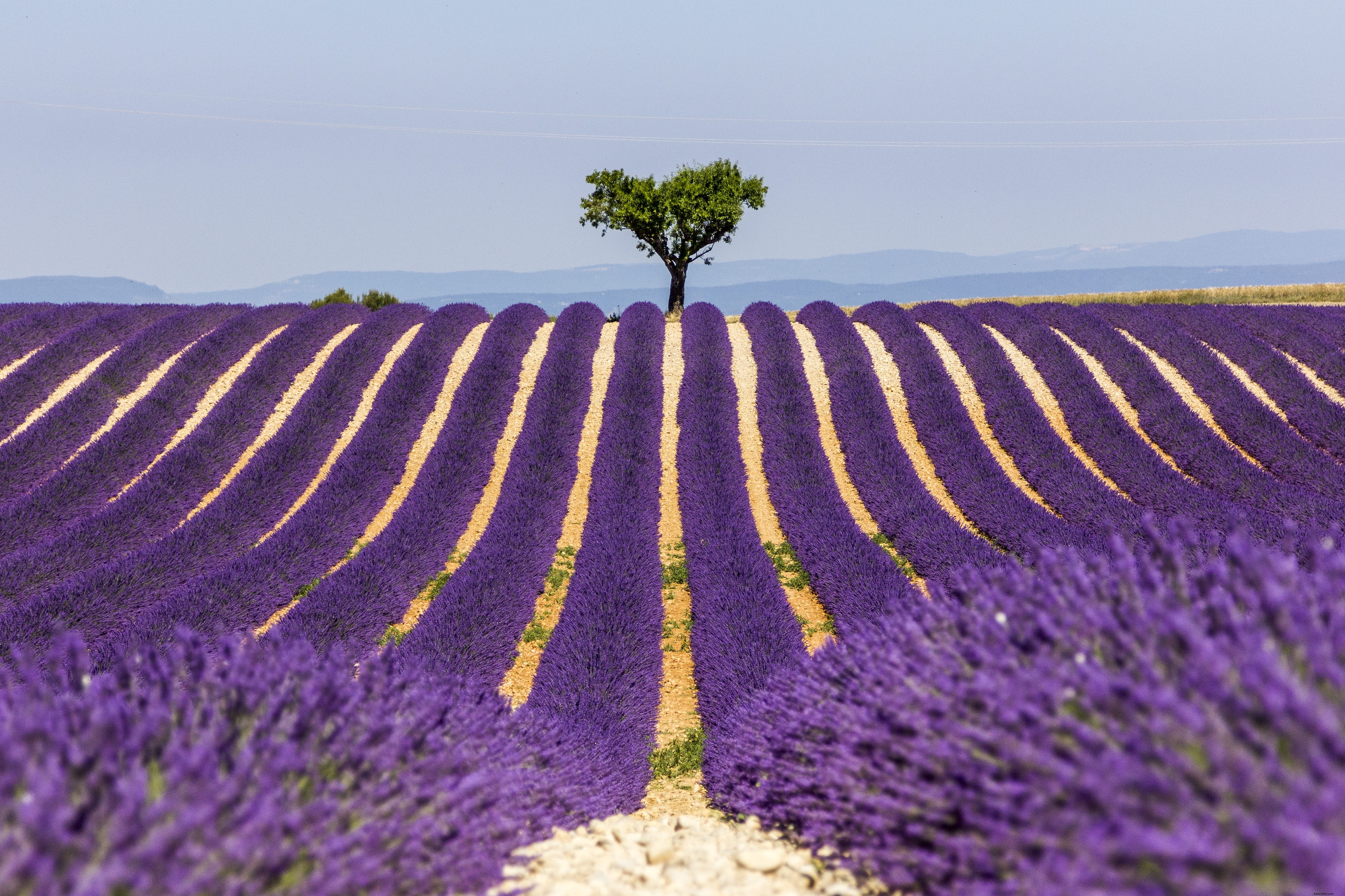 Vibrant Rainbow Destinations: Explore Every Color from Red Square to Lavender Fields