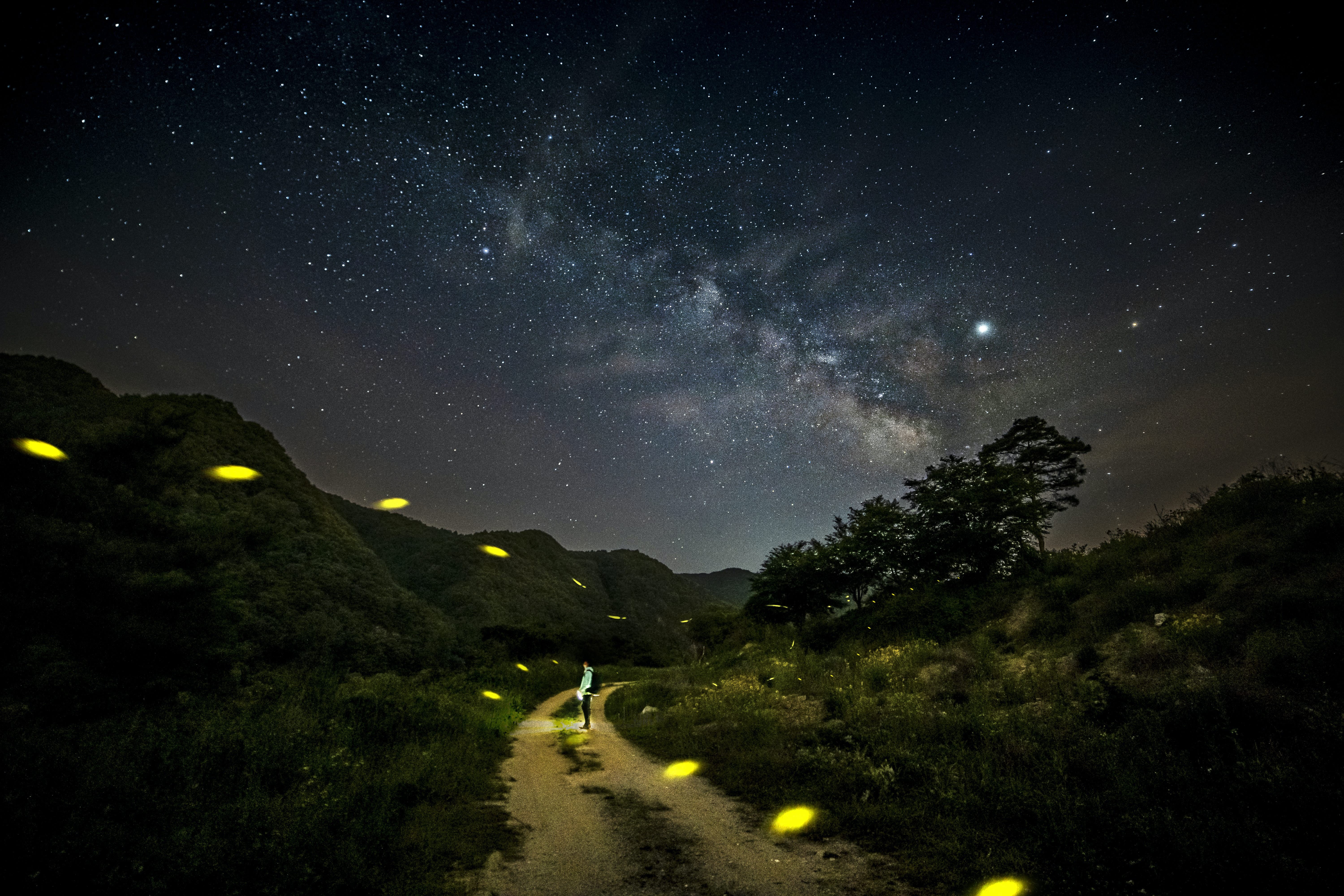 8 Premier Stargazing Destinations in Asia: Dark Sky Wonders Await