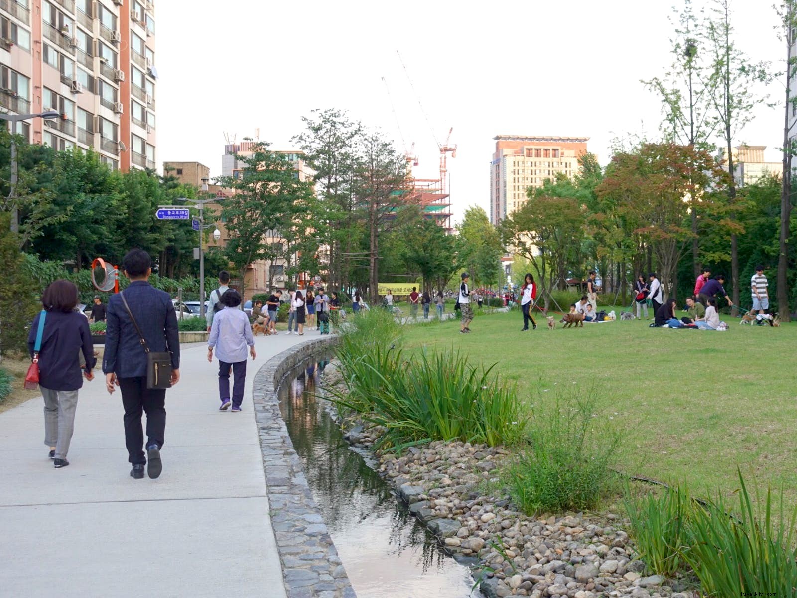 28 Best Free Things to Do in Seoul: Expert Budget Guide