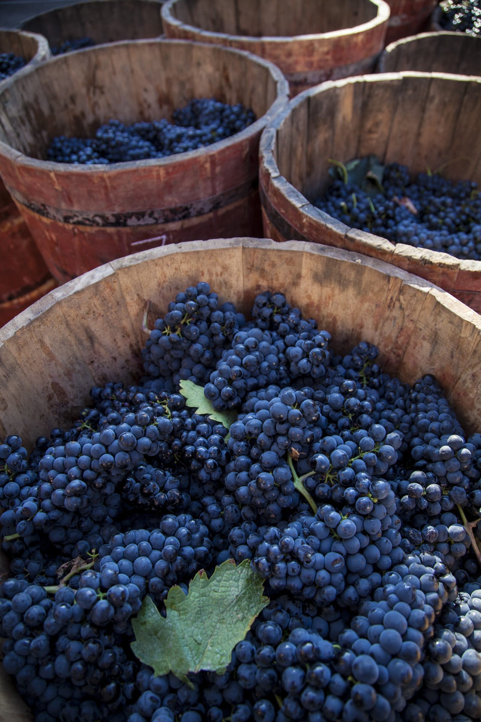 Best October Destinations for Food and Drink Lovers: Lyon, Rioja, Darjeeling & Piedmont