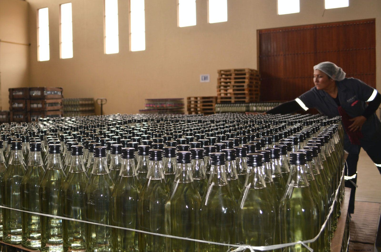 Discover the World s Most Unusual Spirits: Top Bars and Distilleries for Adventurous Travelers