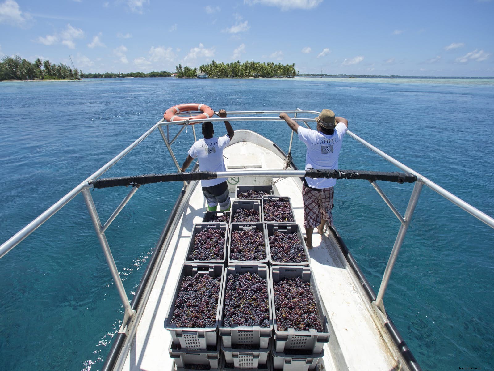 8 Unexpected Island Wineries: Hidden Gems for Wine Lovers Worldwide