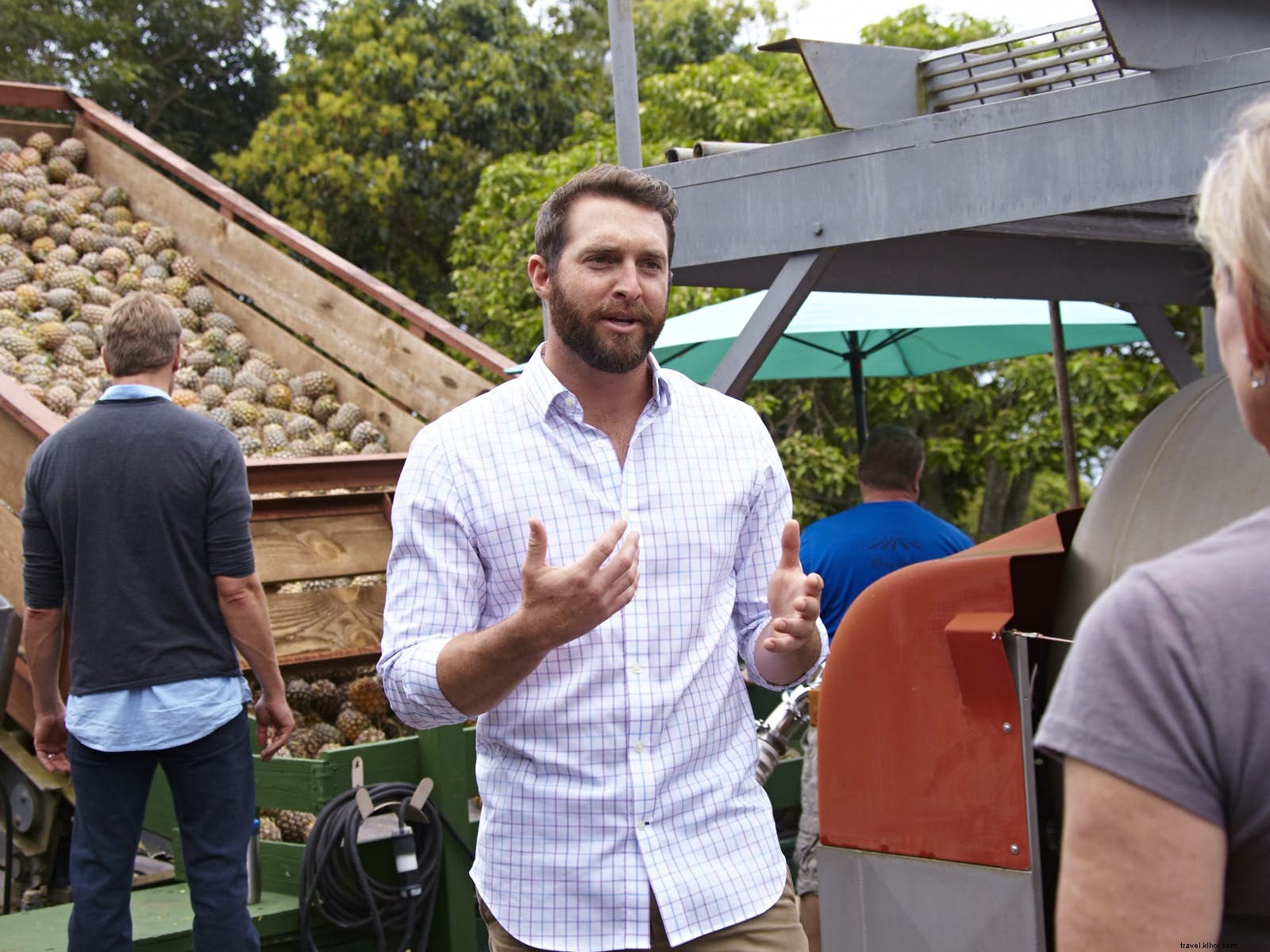 8 Unexpected Island Wineries: Hidden Gems for Wine Lovers Worldwide