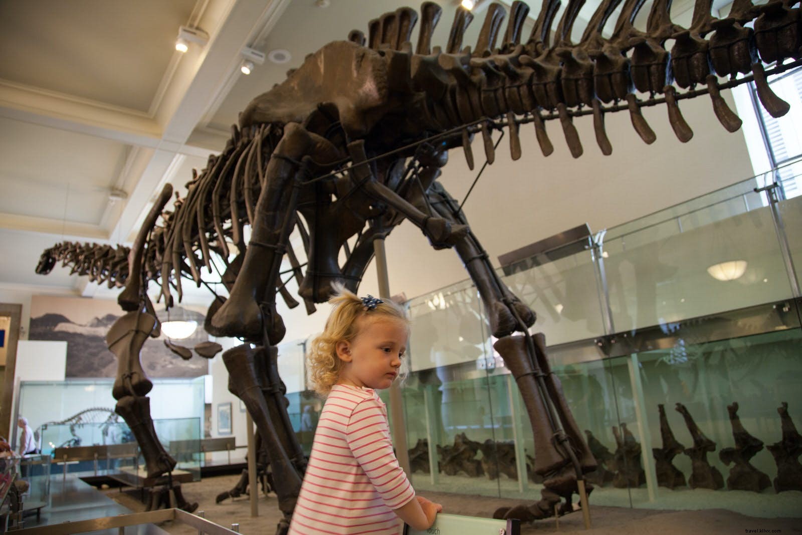 9 World-Class Science Museums That Spark Kids  Curiosity Worldwide