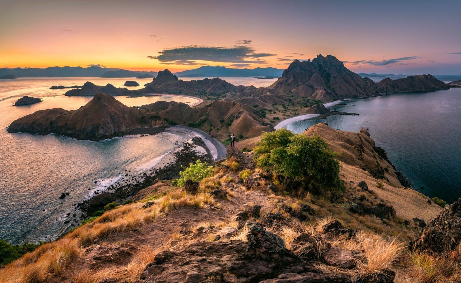 Ultimate Guide to Komodo National Park: Dragons, Diving, and Pristine Islands