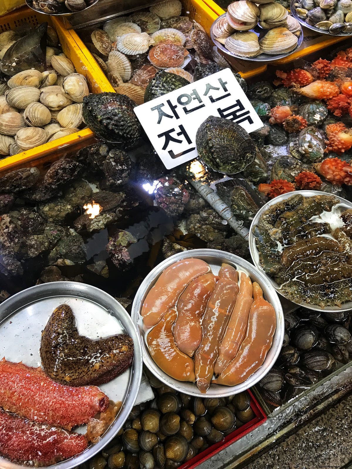 Busan s Iconic Street Foods: Must-Try Culinary Gems in South Korea s Coastal Hub