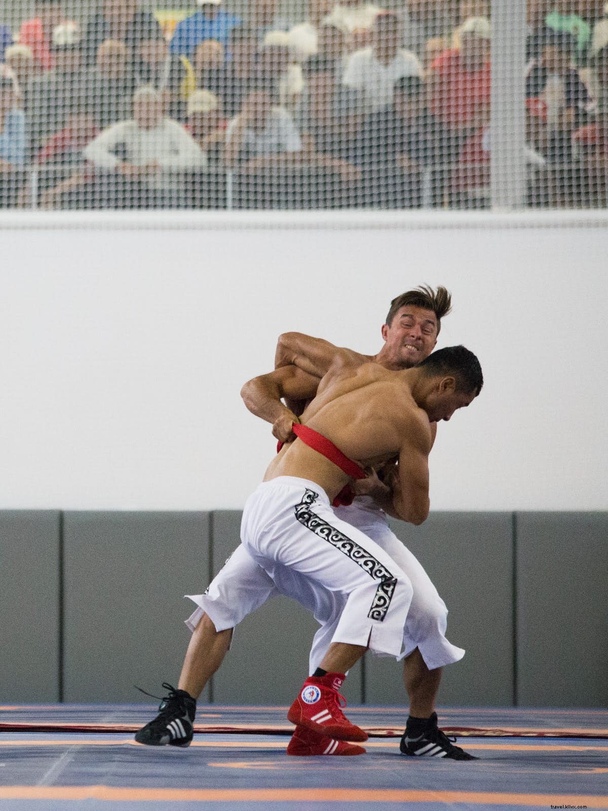 Complete Guide: How to Attend the World Nomad Games in Kyrgyzstan