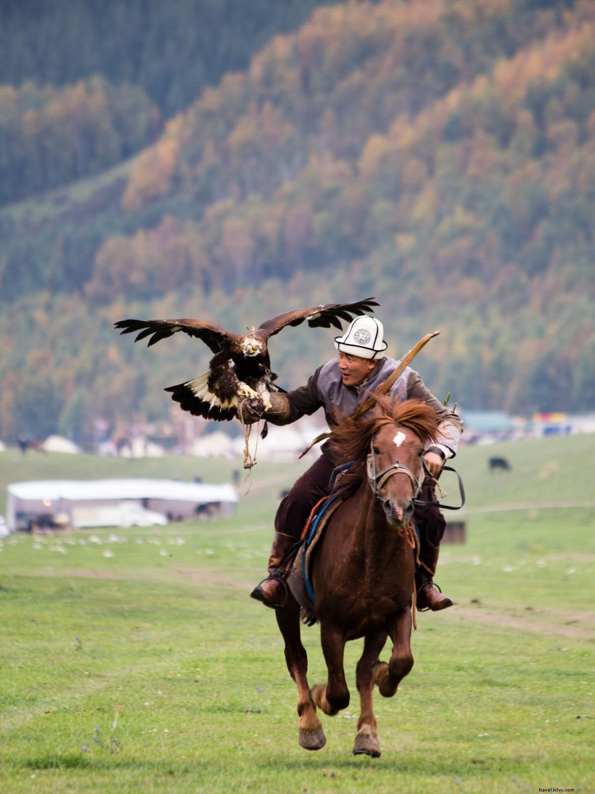 Complete Guide: How to Attend the World Nomad Games in Kyrgyzstan