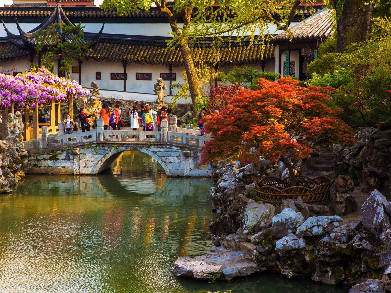 Suzhou s Classical Gardens: Timeless Retreats of Elegance and Serenity