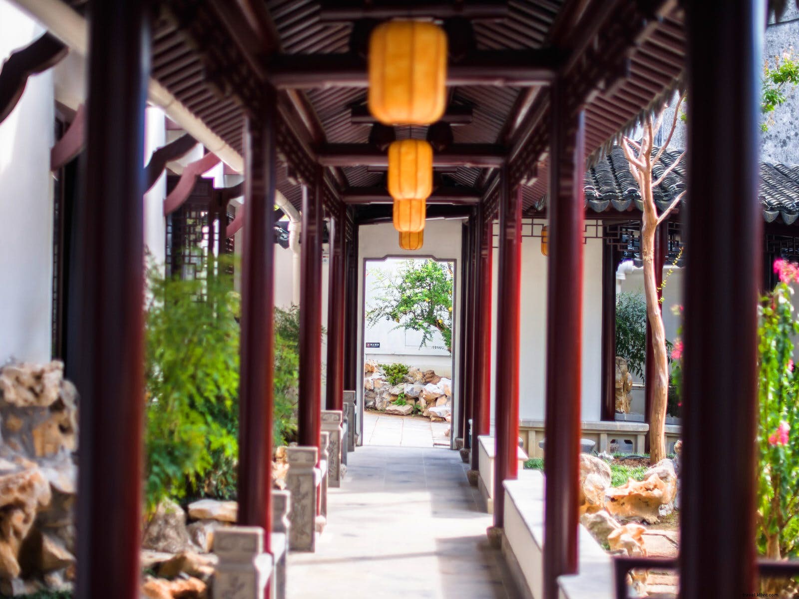 Suzhou s Classical Gardens: Timeless Retreats of Elegance and Serenity