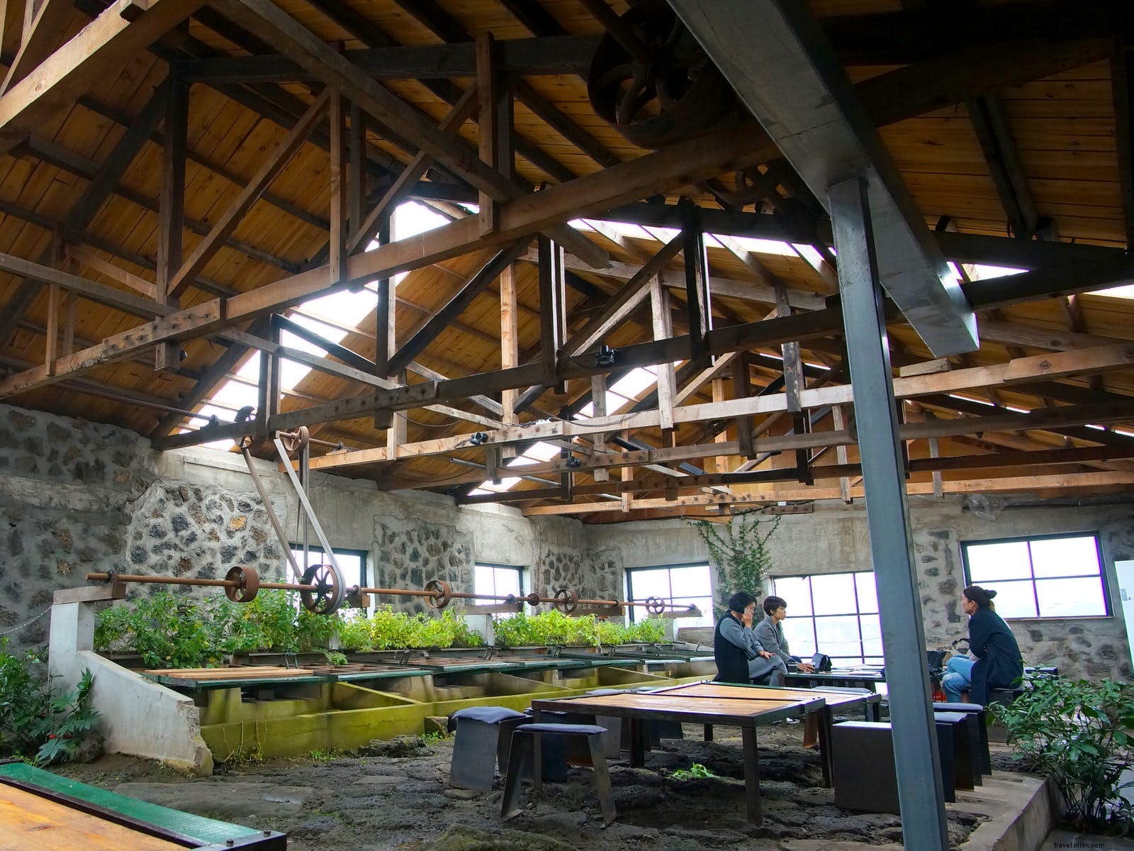 Living Like a True Seoulite: Insider Tips from Lonely Planet Expert Hahna Yoon