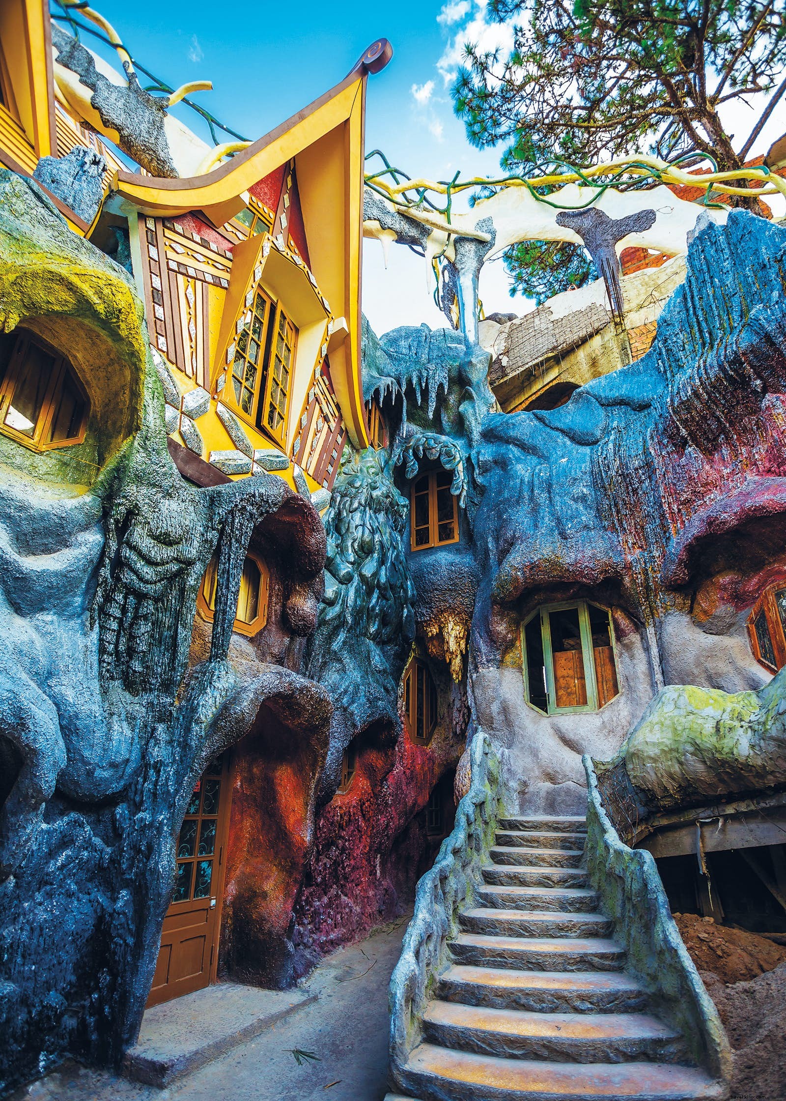 Secret Marvels of the World: From Rainbow Eucalyptus Forests to Pink Lakes