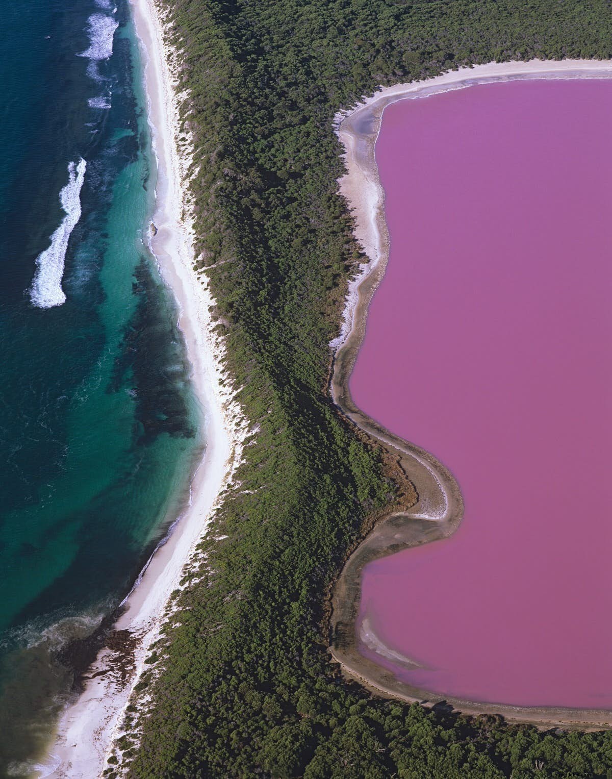 Secret Marvels of the World: From Rainbow Eucalyptus Forests to Pink Lakes