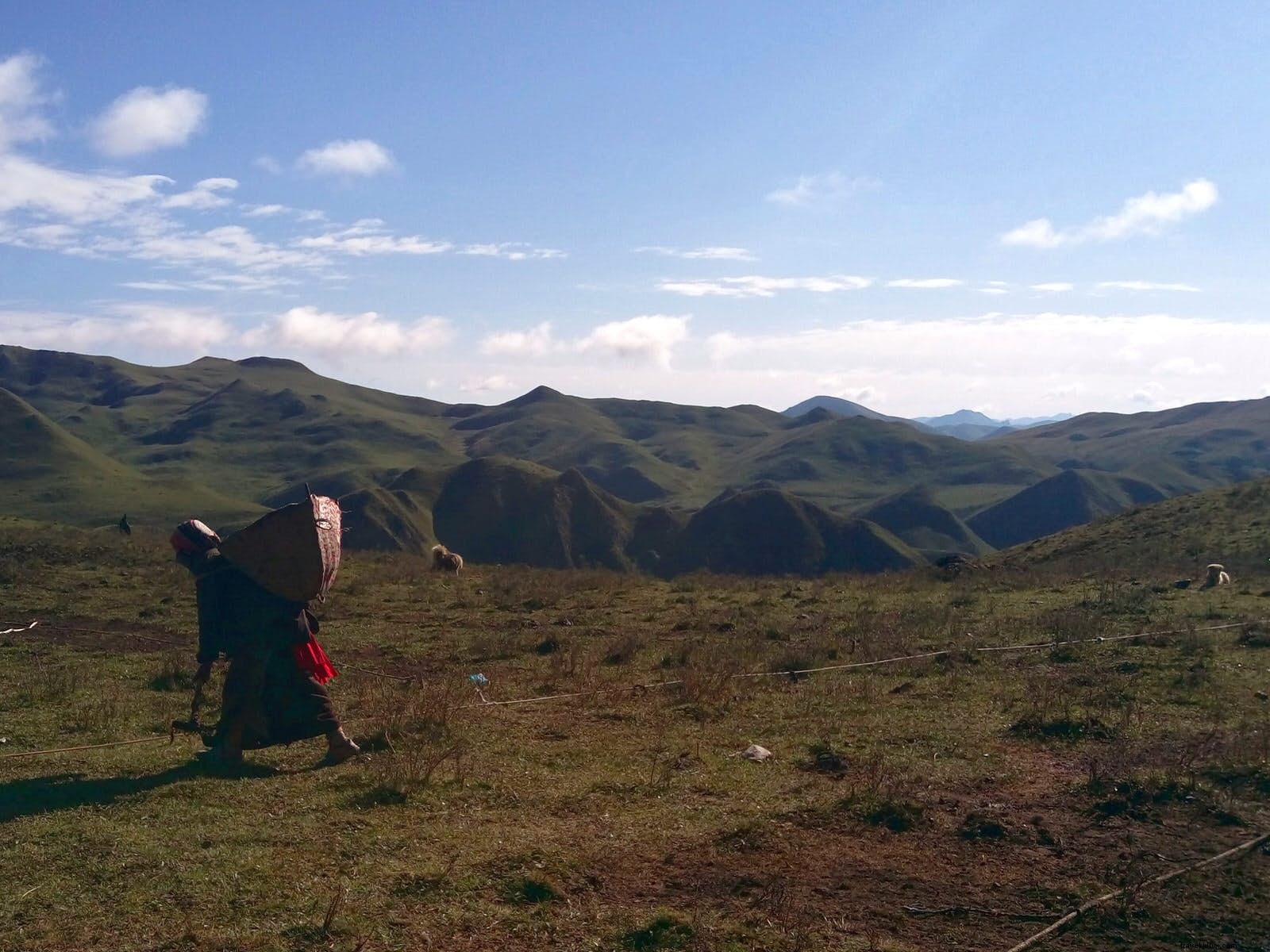 Immersed in Tibetan Nomad Life: Staying in a Yak-Hair Tent in Gansu s High Grasslands
