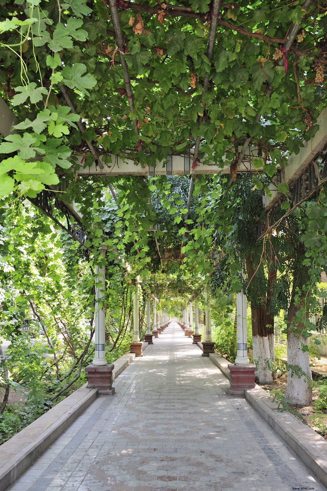 Backpacking China s Silk Road: The Ultimate Guide for Adventurous Travelers