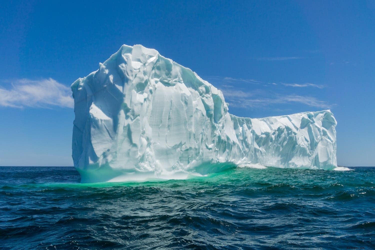 Best Wildlife and Nature Destinations to Visit in May: Komodo Dragons, Icebergs, and More