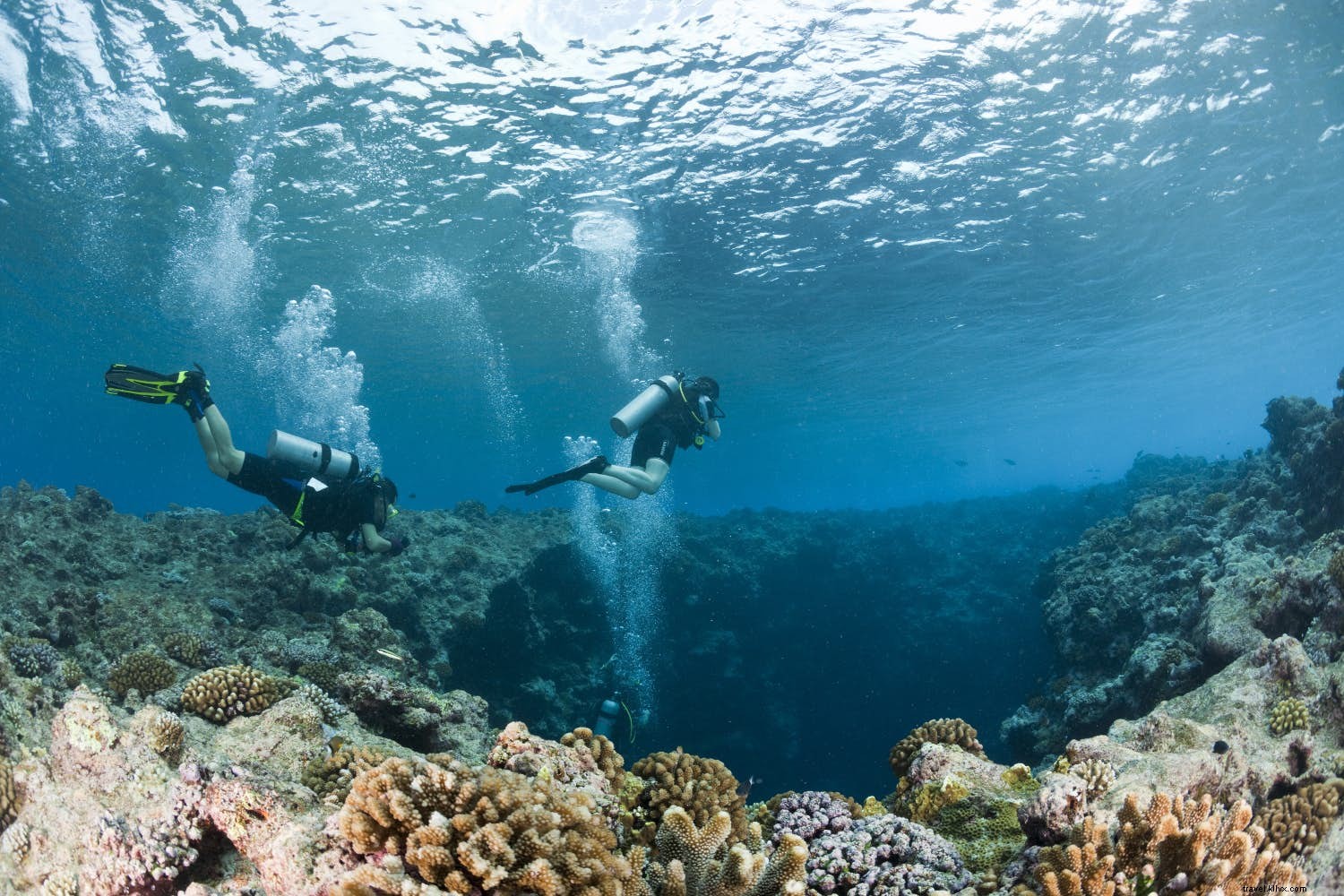 Top April Destinations for Wildlife and Nature Lovers: Palau, Lake District, Galápagos & Japan