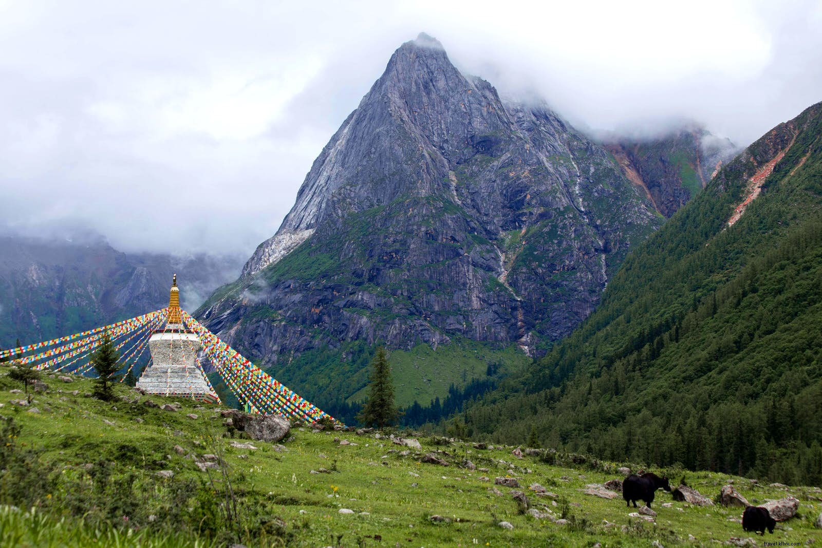 Discover Four Sisters Mountain: The Secret Valleys of Sichuan s Himalaya