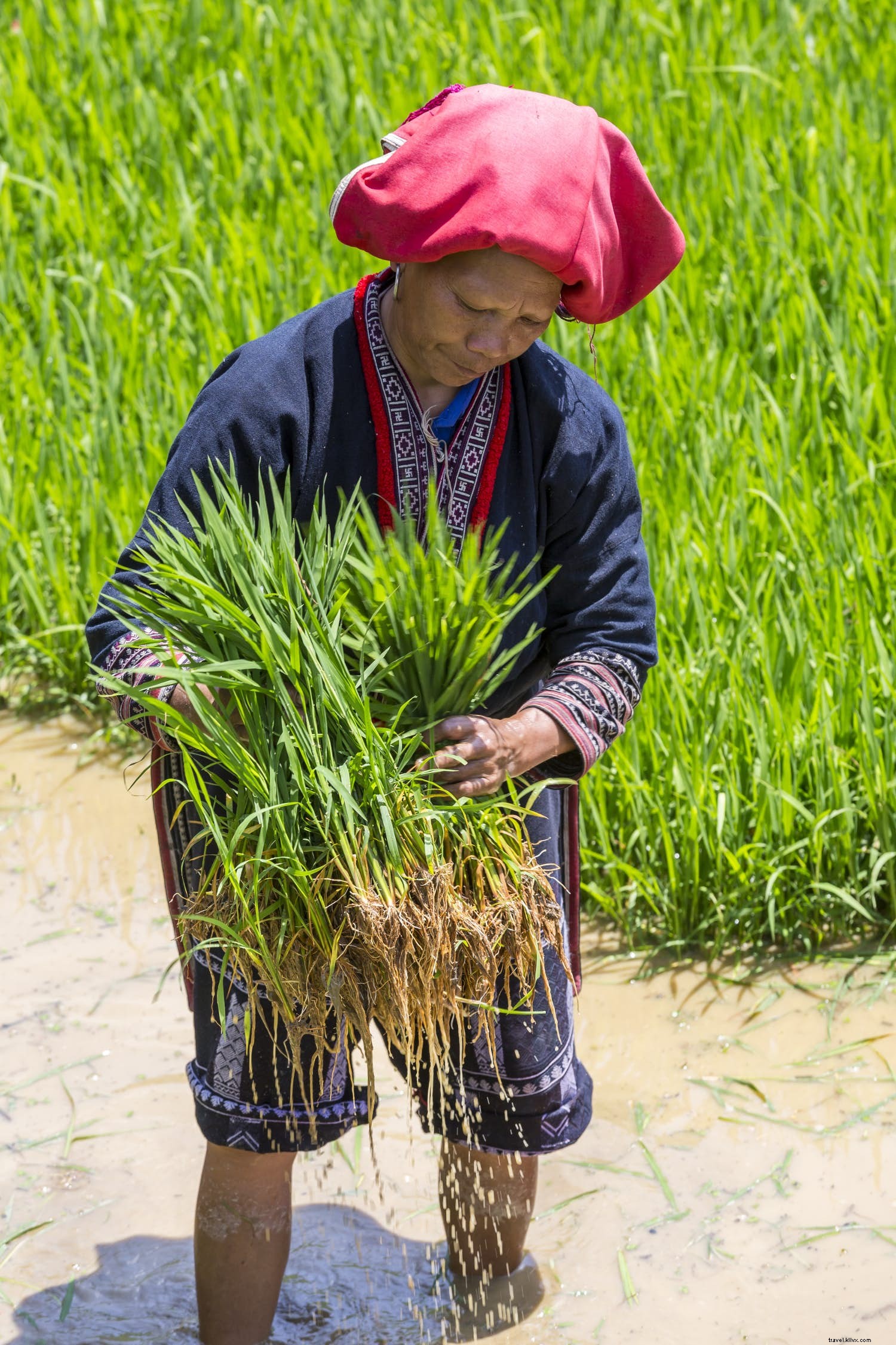 Epic March Journeys: Island-Hopping in Myanmar, Easter Island s Mysteries, Vietnam Treks & Australian Cycling Trails