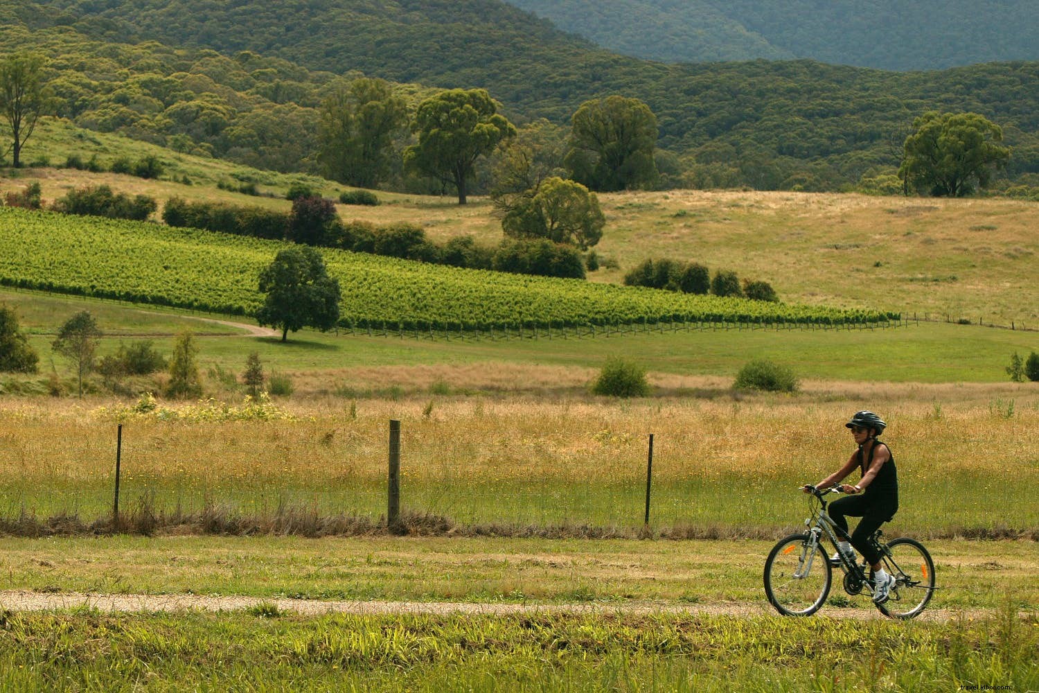 Epic March Journeys: Island-Hopping in Myanmar, Easter Island s Mysteries, Vietnam Treks & Australian Cycling Trails