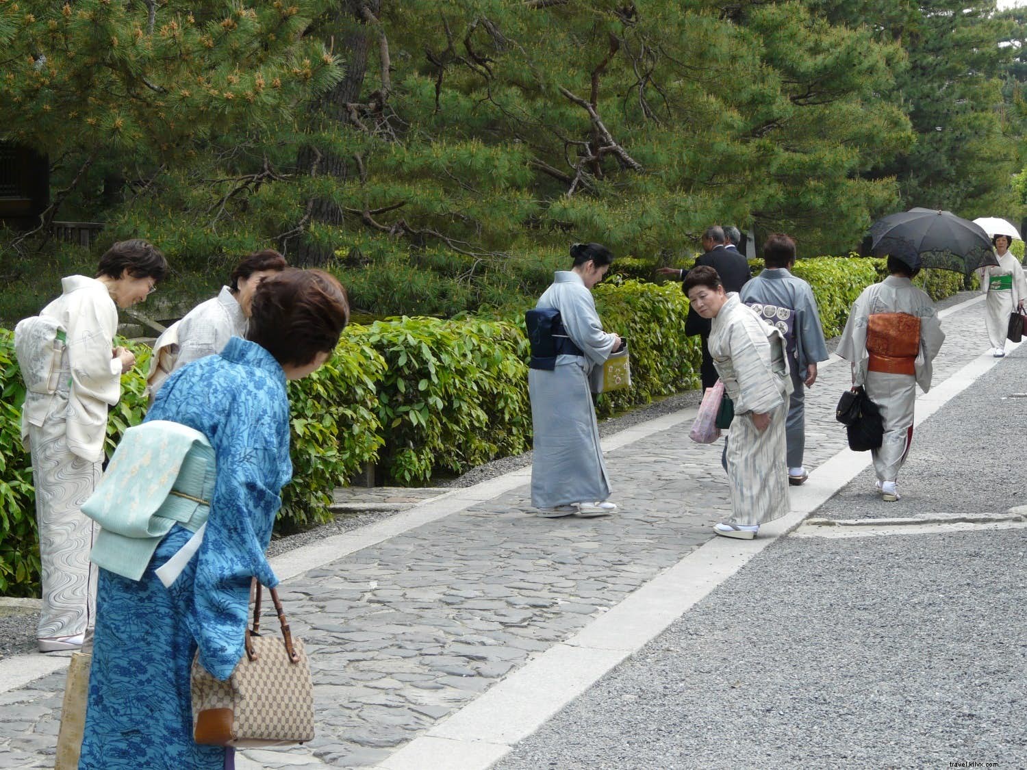 Japan Etiquette Guide: Essential Dos and Don ts for First-Time Travelers