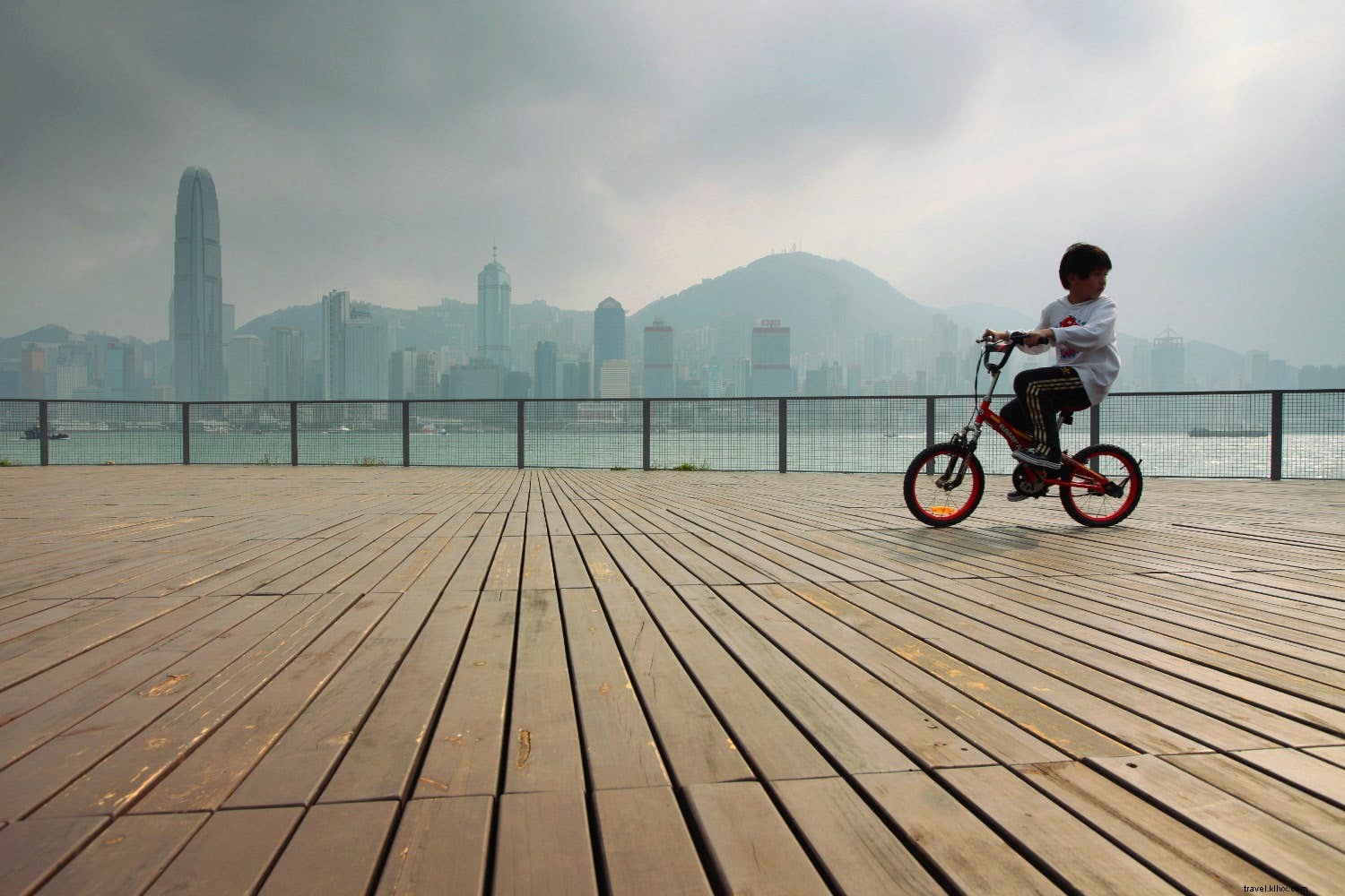 Discover Kowloon with Kids: Top Family-Friendly Adventures in Hong Kong s Vibrant Heart