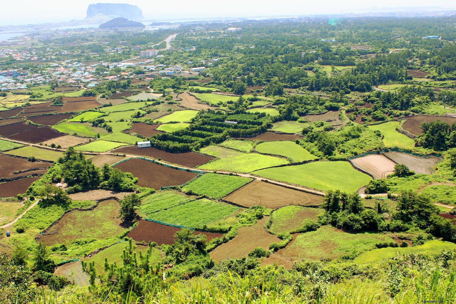 Top 10 Must-Do Activities on Jeju Island: Korea s Tropical Paradise
